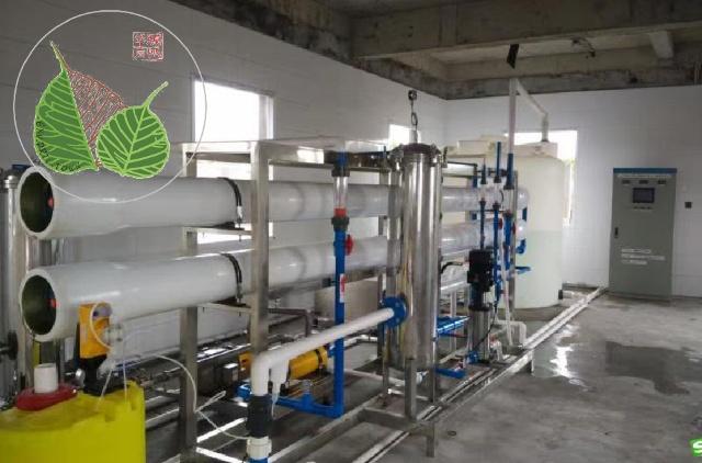 纯化水设备系统